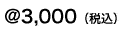 @3000