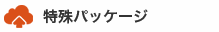 特殊パッケージ